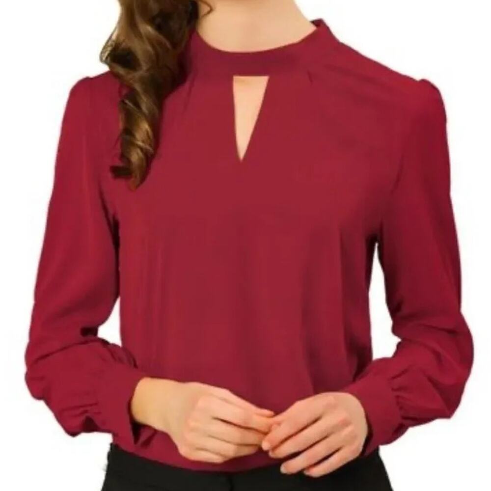 ALLEGRA K Stand Collar Long Sleeve Chiffon Burgundy Blouse, Size L, New with Tag